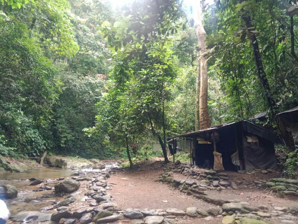 Lucky Bamboo'Bungalows-Resto And Orangutan Jungle Trekking Tours Bukit Lawang Eksteriør billede