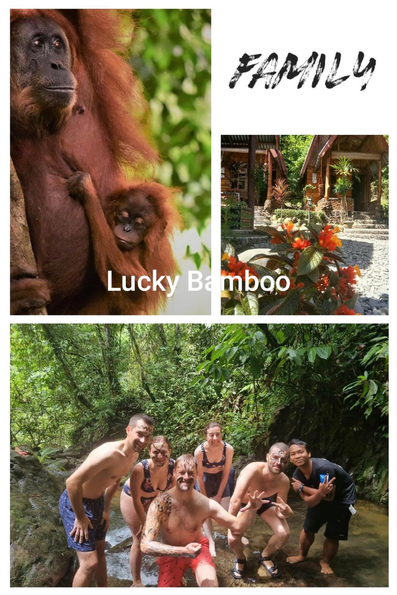 Lucky Bamboo'Bungalows-Resto And Orangutan Jungle Trekking Tours Bukit Lawang Eksteriør billede