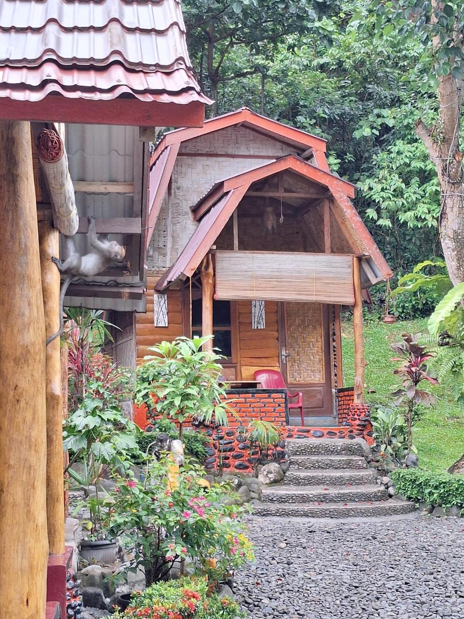 Lucky Bamboo'Bungalows-Resto And Orangutan Jungle Trekking Tours Bukit Lawang Eksteriør billede